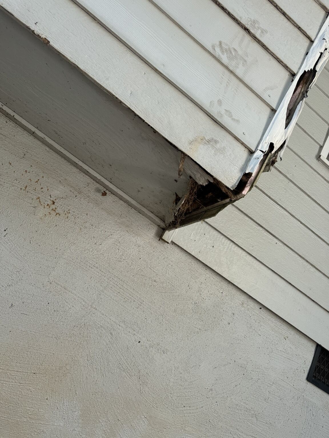 Rotted fascia board hanging loose from the roofline before repair