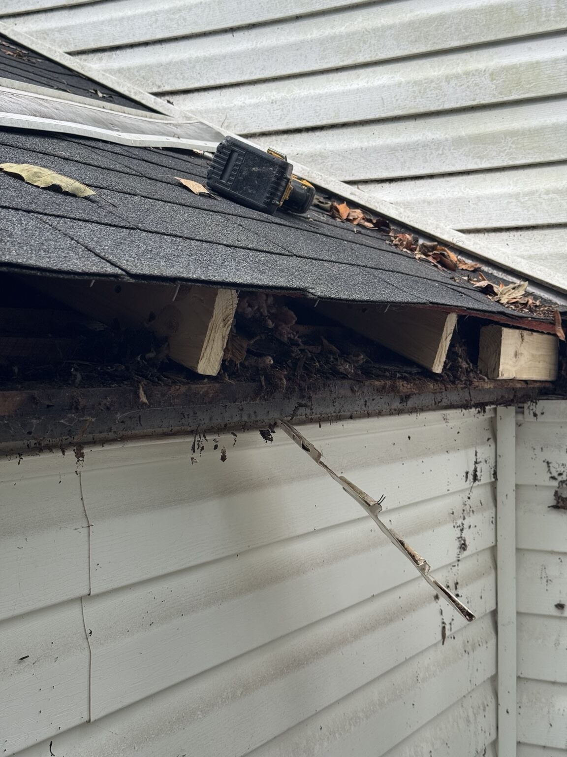 Rotted fascia and roof edge damage found during inspection