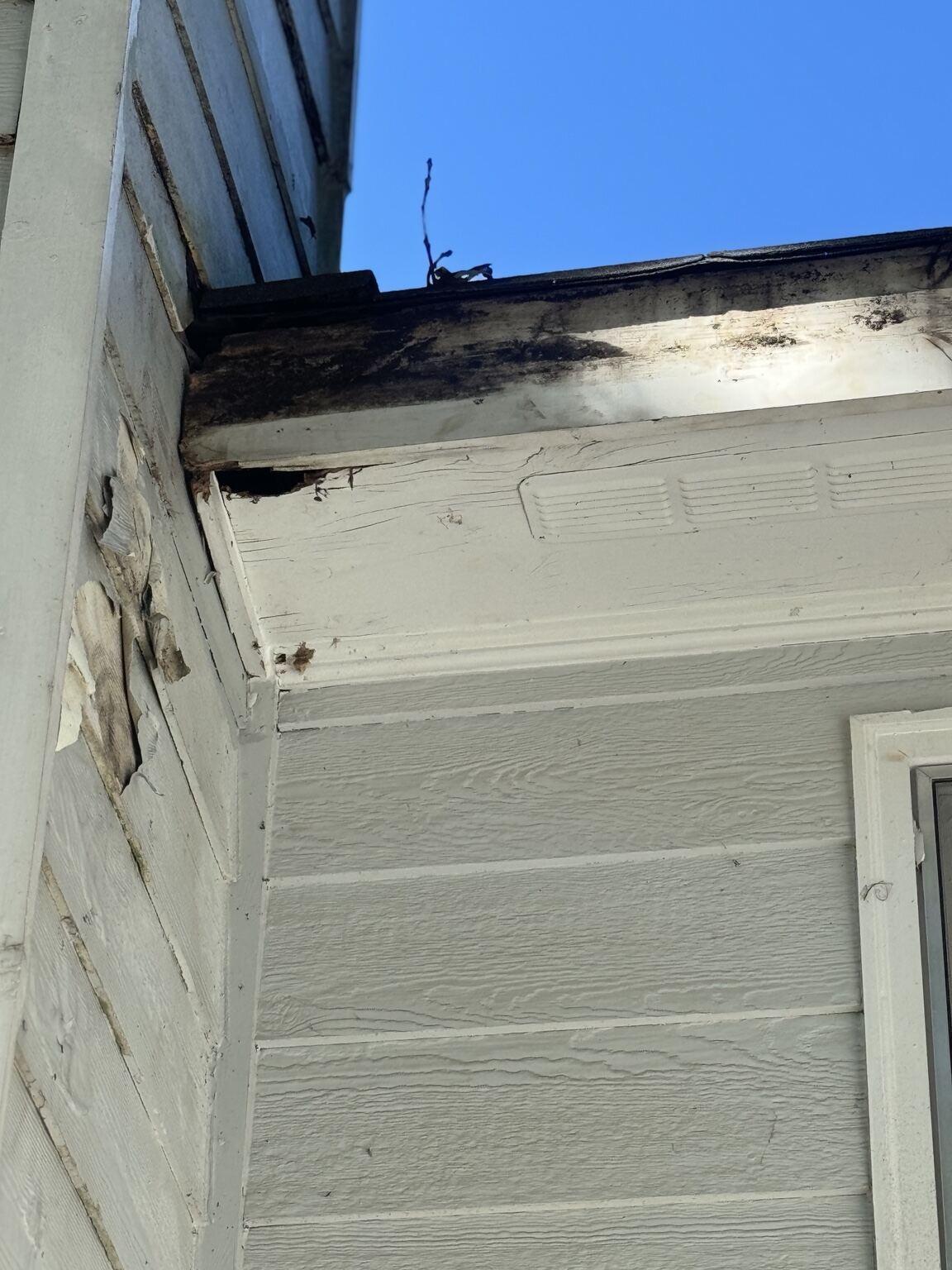 Damaged fascia corner with water staining before repair
