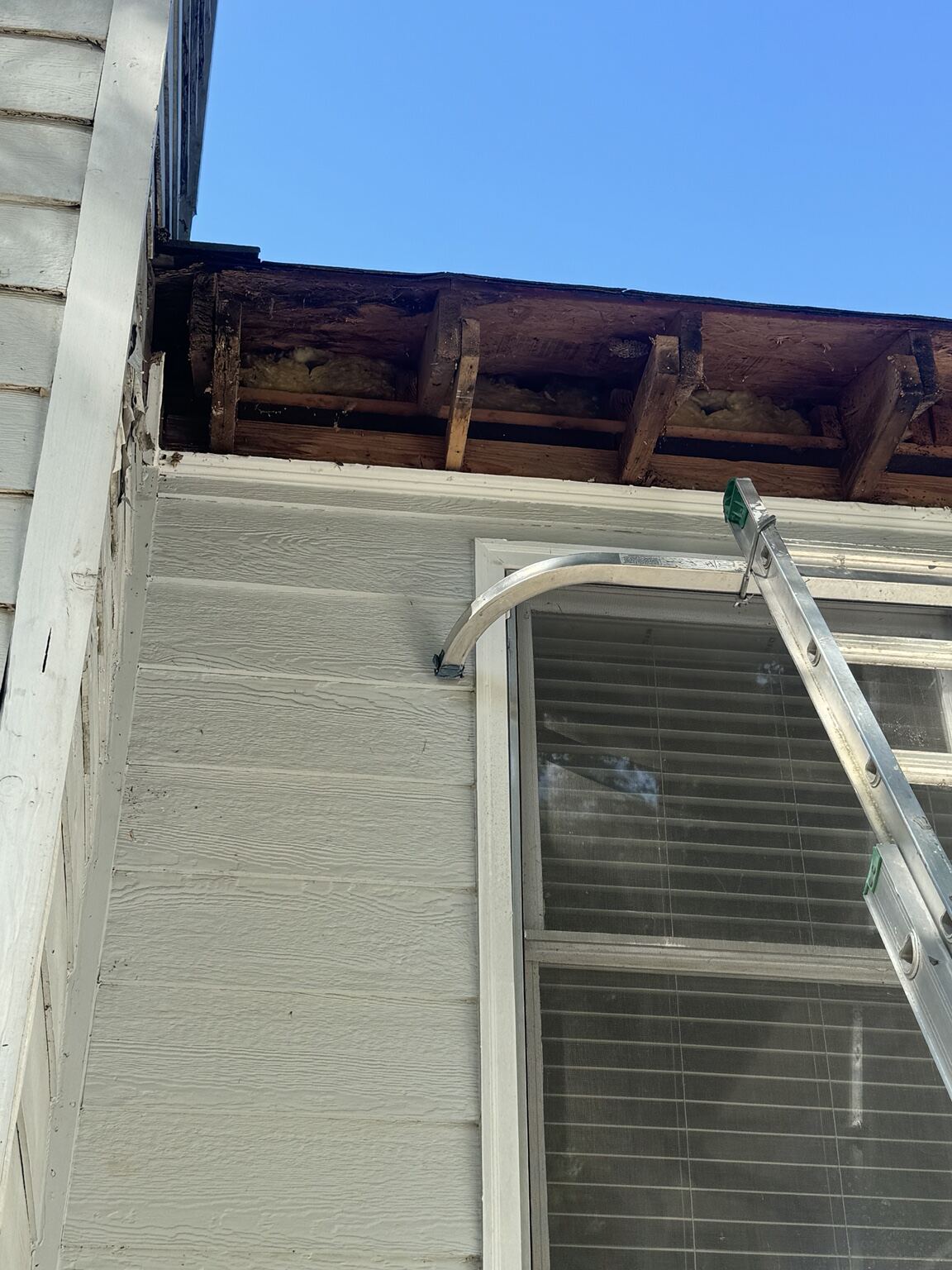 Rafter tails exposed after removing rotted fascia board